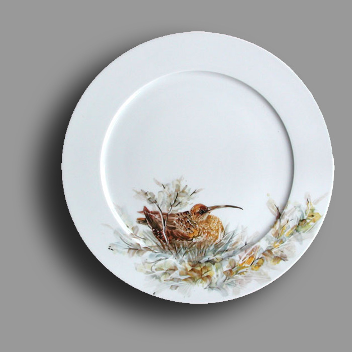 Grosser_Brachvogel_W Kopie
