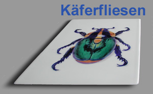 Kaefer_2