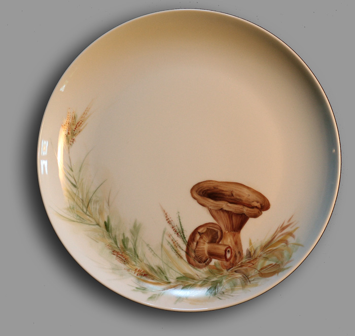 Pilz1 Kopie