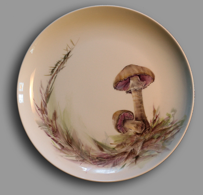 Pilz3 Kopie