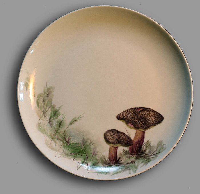 Pilz5 Kopie