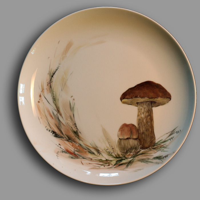 Pilz6 Kopie