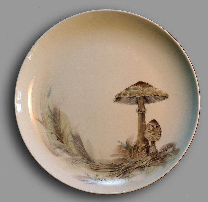Pilz7 Kopie